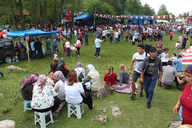 Gümeli Tabiat Orman Parkı Çöplüğe Döndü