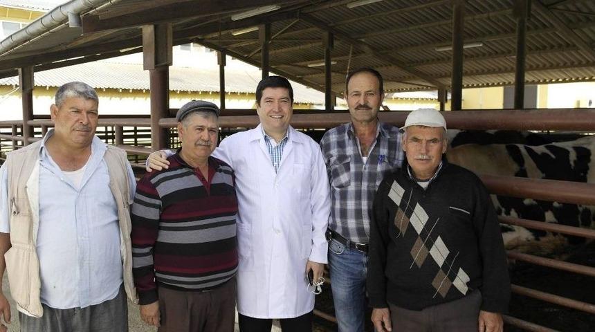 Milas Mezbahanesi M&uuml;d&uuml;r&uuml; Barış Saylak&rsquo;tan Şarbon A&ccedil;ıklaması