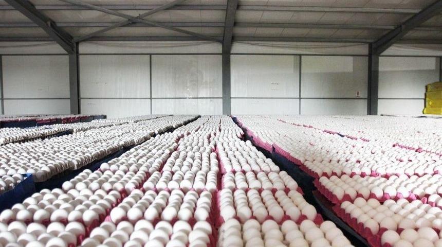 Afyonkarahisar&rsquo;ın İhracatı Arttı