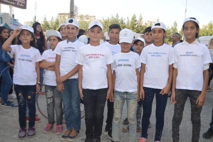 Mardin’de ‘halk Sağlığı Haftası’ Kutlamaları Halaylarla Başladı G5