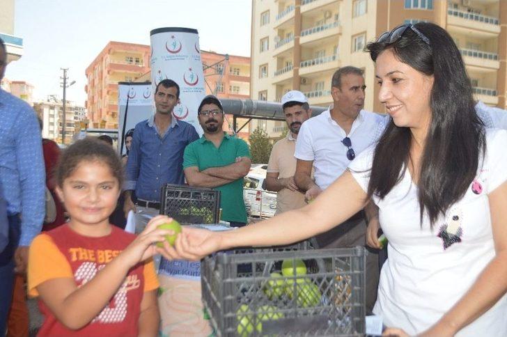 Mardin’de ‘halk Sağlığı Haftası’ Kutlamaları Halaylarla Başladı G2