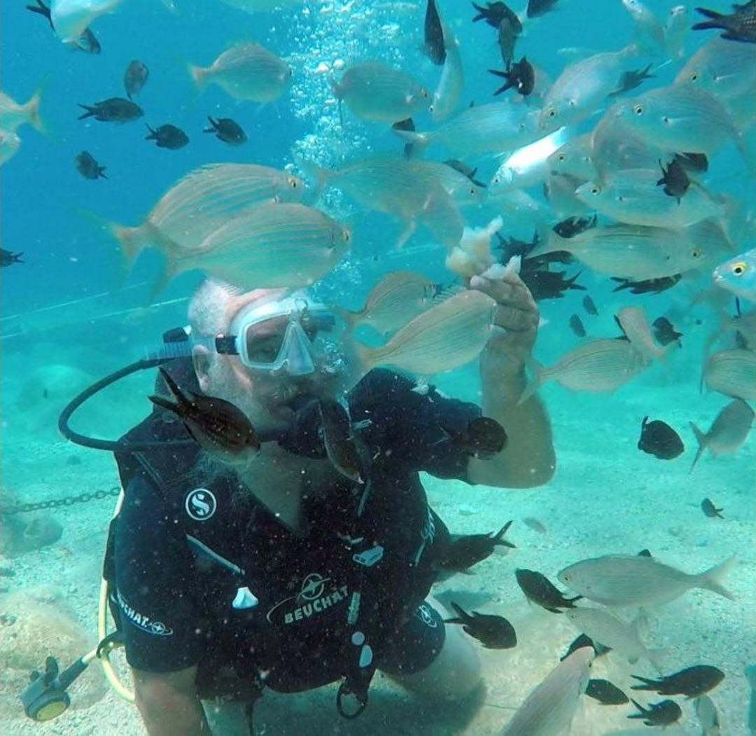 Turistlerin Yeni G&ouml;zdesi Su Altında Ekmekle Balık Beslemek