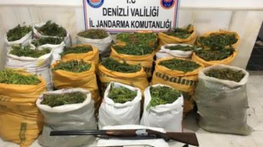 Jandarma Ormanlık Alanda Bin 192 K&ouml;k Kenevir Ele Ge&ccedil;irdi
