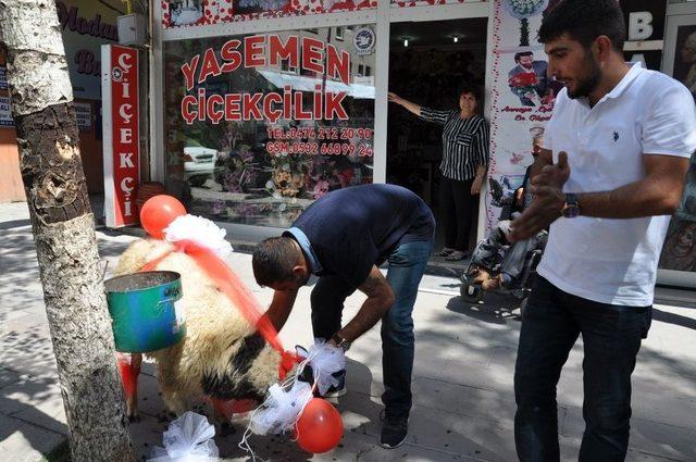 Kars’ta Gelin Koçu Geleneği Sürüyor