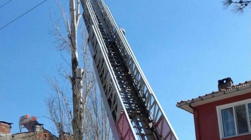 Hisarcık&rsquo;ta Tehlike Oluşturan Ağa&ccedil;lar Kesiliyor