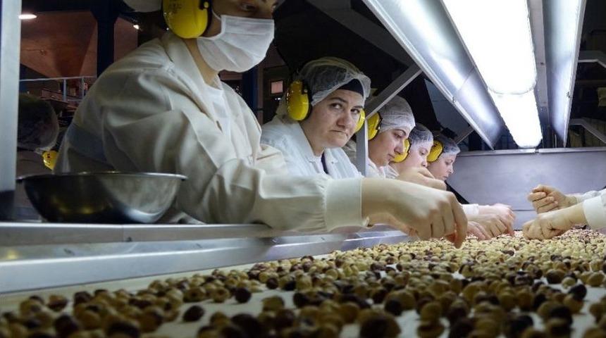 İhracatın Y&uuml;zakı Fındık