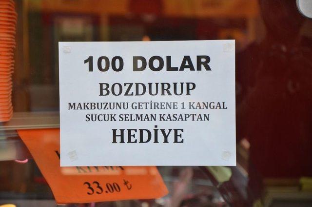 Dolara Tepkisini Sucuk İle Gösterdi