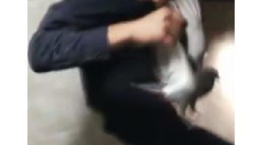 Havalandırma Boşluğuna D&uuml;şen Kuşu İtfaiye Ekipleri Kurtardı