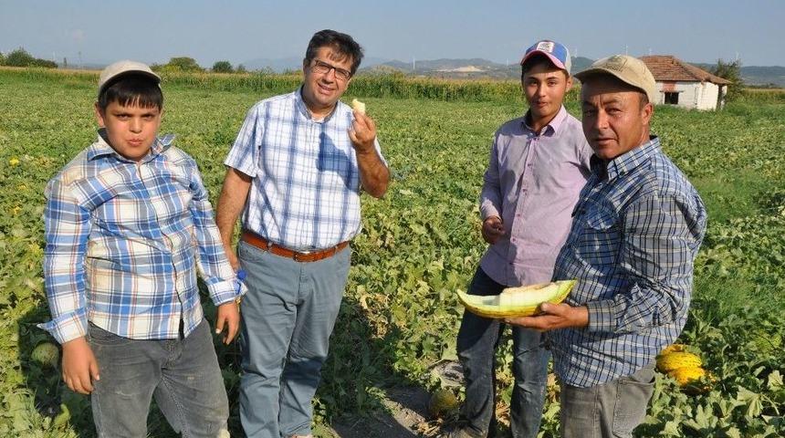 (&ouml;zel Haber) Kırkağa&ccedil;&rsquo;ta Kavun Hasadı Başladı