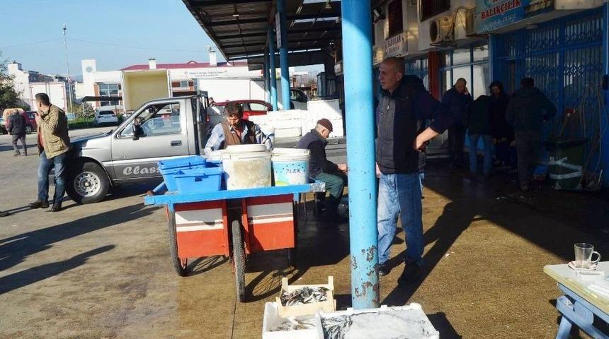 Hamsi Fiyatı Hızla D&uuml;ş&uuml;şe Ge&ccedil;ti