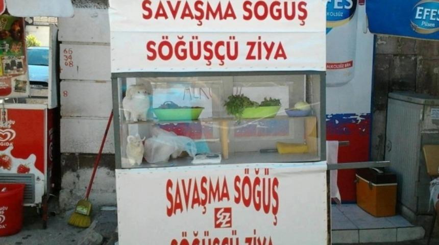 Sokak Lezzeti Deyince Aklımıza Gelen 16 Orgazmik Yiyecek (Ağzınız Sulanabilir)