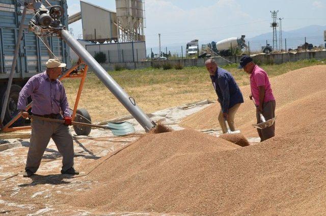 Muş’ta Buğday Satışı Başladı