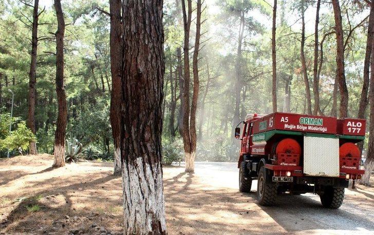 Gözler Ormanda, Ekipler Alarmda G2