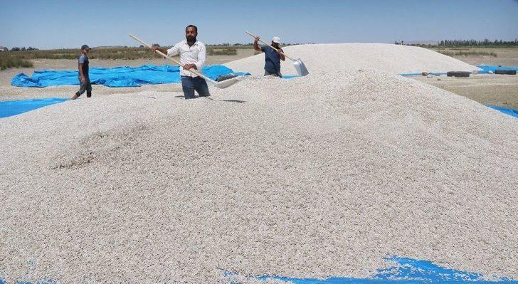 Ziraat Odası Başkanı Koçak: "ülkemiz İçin Milli Ay Çekirdeğini Çitleyin" G4