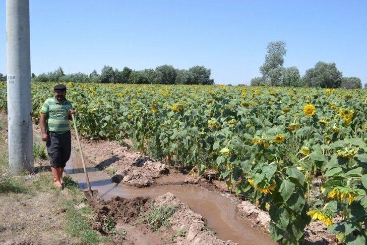 Ziraat Odası Başkanı Koçak: "ülkemiz İçin Milli Ay Çekirdeğini Çitleyin" G5