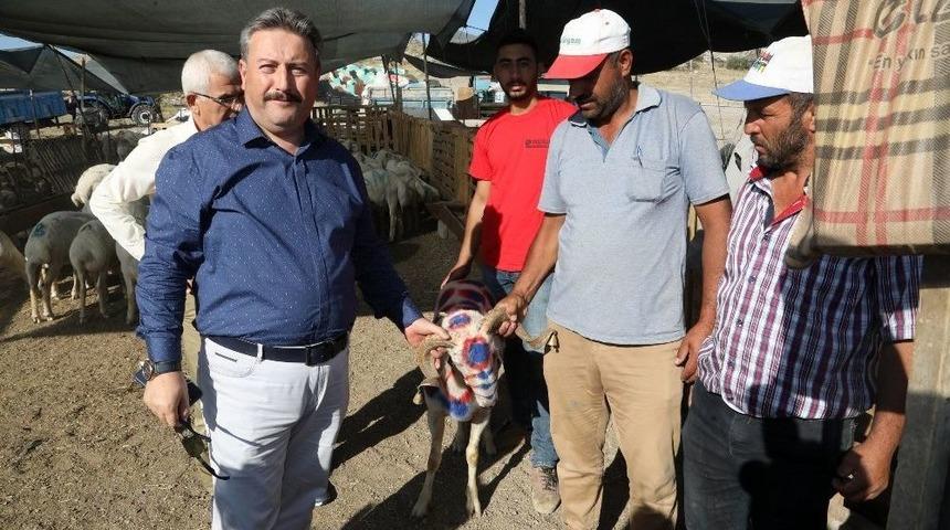 Başkan Palancıoğlu Kurban Pazarında