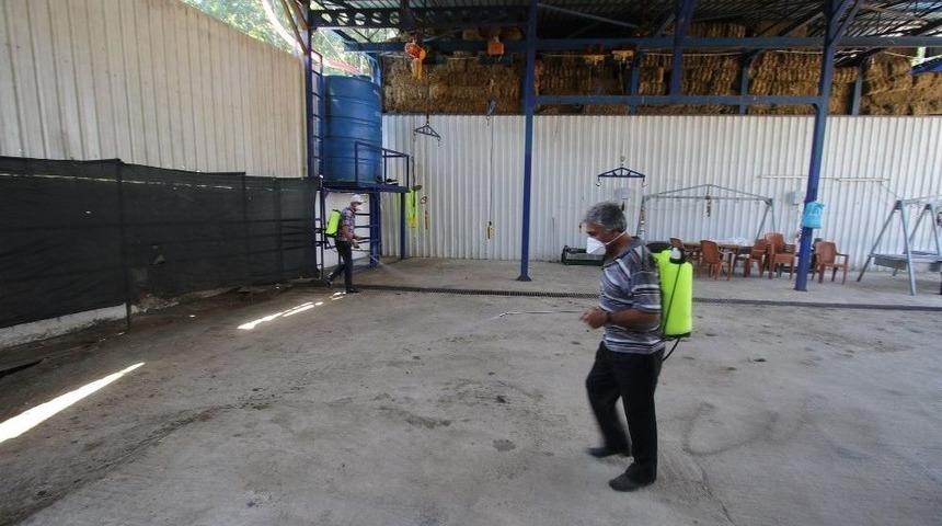 Akyazı’da Kurban Kesim Yerleri Hem Denetleniyor Hem De İlaçlanıyor