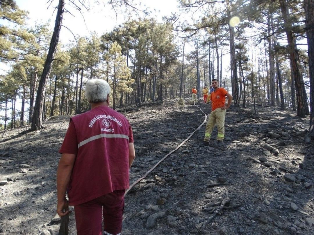 K&uuml;tahya&rsquo;daki Orman Yangını Kontrol Altına Alındı