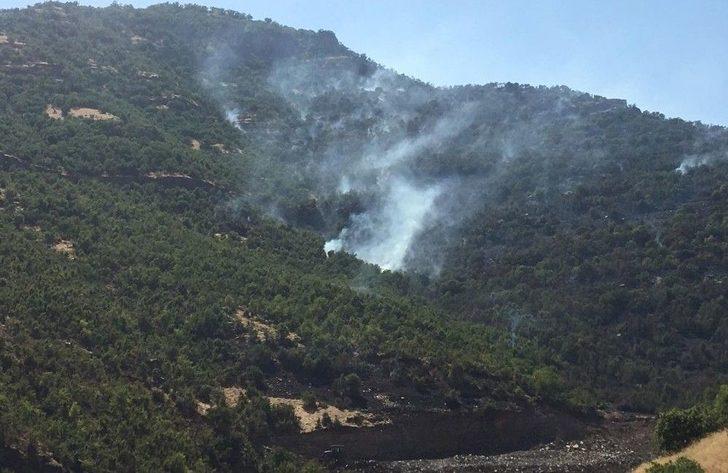 Beytüşşebap’ta Orman Yangını G2