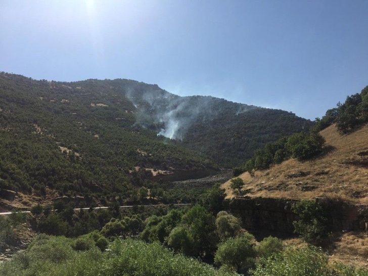 Beytüşşebap’ta Orman Yangını G3