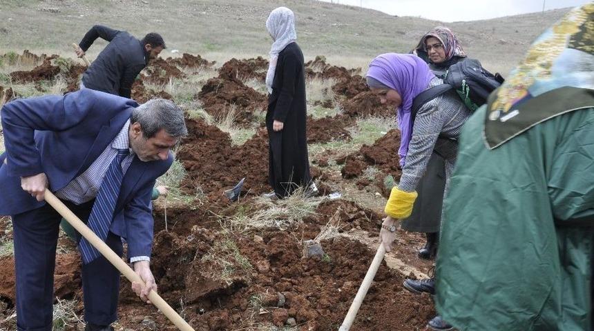 Yeşilay&rsquo;dan &Uuml;niversite Kamp&uuml;s&uuml;nde Ağa&ccedil;landırma Etkinliği