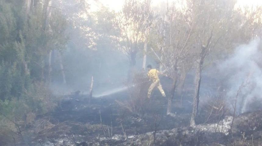 Keban’da Yangın, Yaklaşık 150 Dönüm Arazi Zarar Gördü