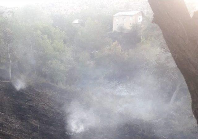 Keban’da Yangın, Yaklaşık 150 Dönüm Arazi Zarar Gördü