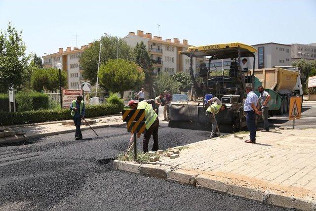 Efeler’in Yolları Yenileniyor