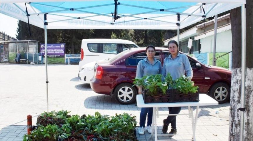 Mezarlığa Gelenler &Ccedil;i&ccedil;ekle Karşılandı