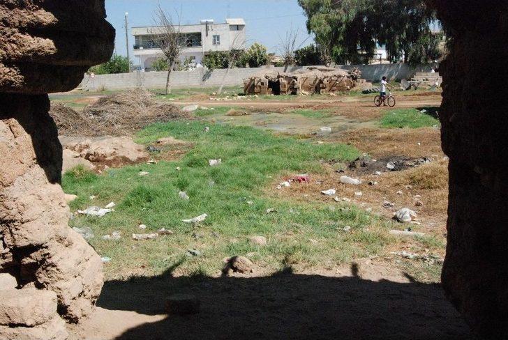 Yazın Ortasında Kışı Yaşıyorlar G2