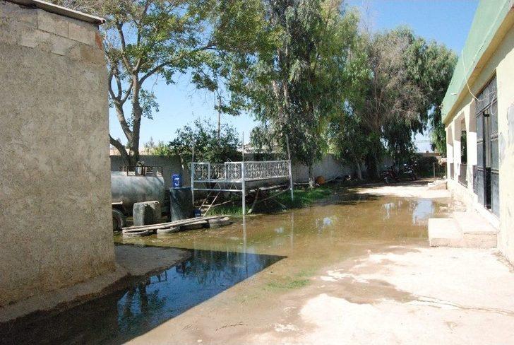 Yazın Ortasında Kışı Yaşıyorlar G3