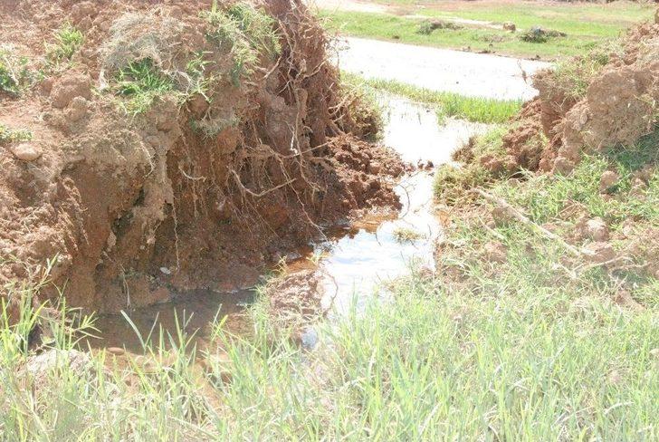 Yazın Ortasında Kışı Yaşıyorlar G4