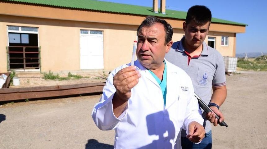 Ka&ccedil;an Kurbanlıkları &Ouml;zel Tim Yakalayacak