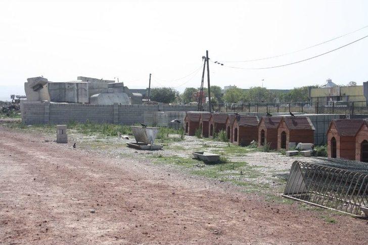 Kars Belediyesi Modern Hayvan Kliniği’nin Temellerini Attı G2