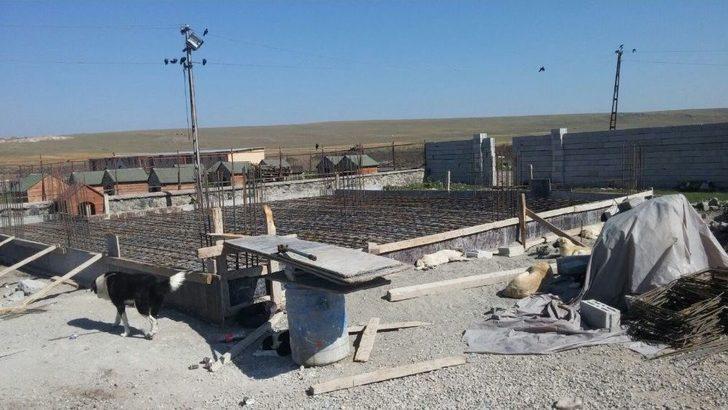 Kars Belediyesi Modern Hayvan Kliniği’nin Temellerini Attı G5