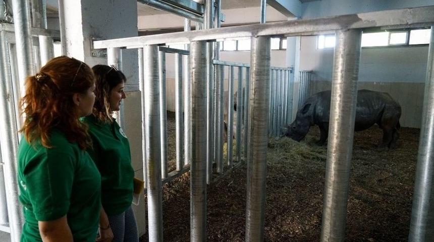 Bursa’nın Yeni Misafirlerinin Sağlık Durumu İyi