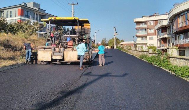 Düzce Belediyesi Ekipleri Sahada Yoğun Çalışıyor