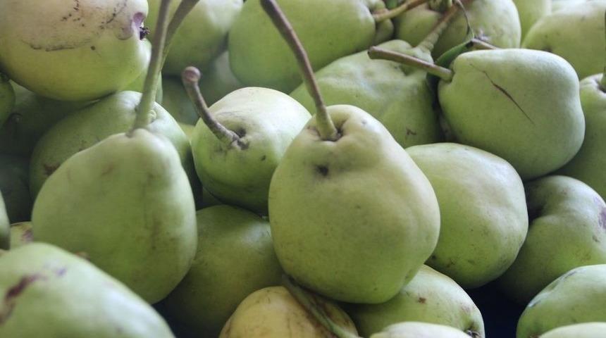 Yerli Tatlı Armut Tezgahlarda