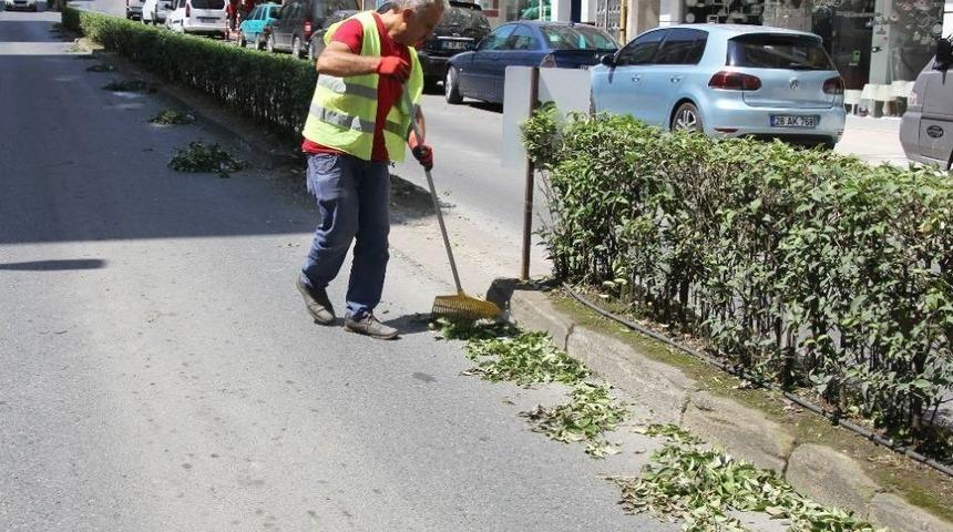 Park Ve Bah&ccedil;elerin Bakımı Yapılıyor