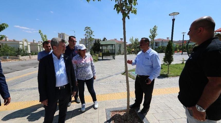 Şahinbey&rsquo;de Yeşil Alan Miktarı Rekor D&uuml;zeyde Arttı