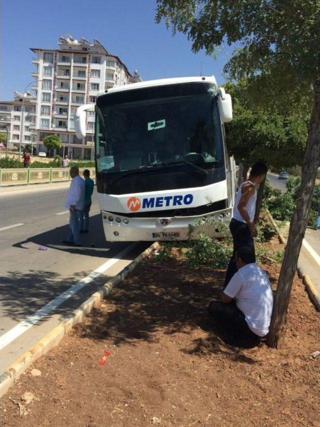 Otobüs Refüje Çıktı