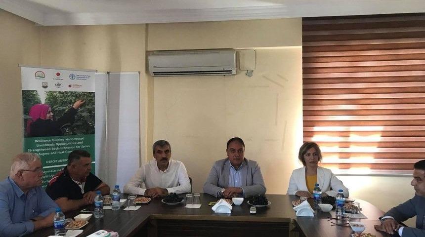 Kilis Tarımında Yol Haritası Belirlendi