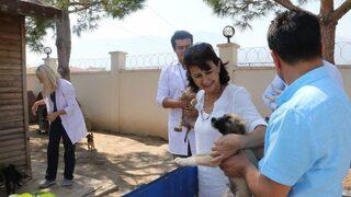 Manisa’da Hayvan Bakım Merkezi Bayramda Görevde