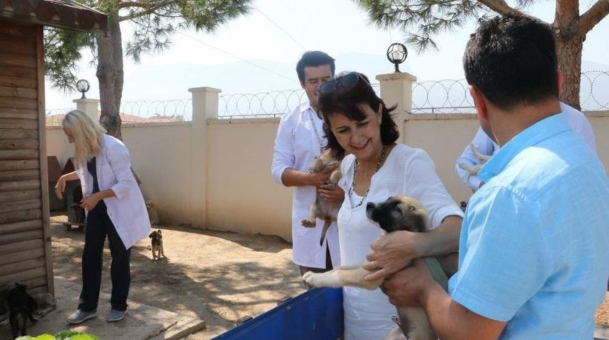 Manisa’da Hayvan Bakım Merkezi Bayramda Görevde