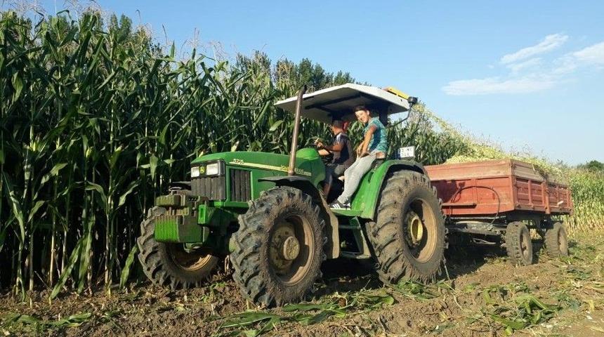 Edirne&rsquo;de Mısır Silajı Zamanı