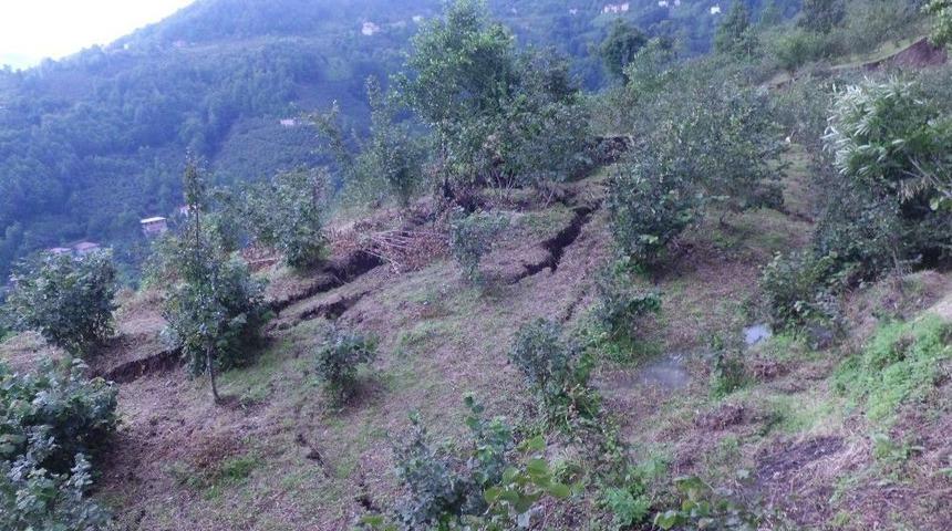 Ordu’daki Selde 809 Ton Fındık, 17 Bin Civciv Kayboldu