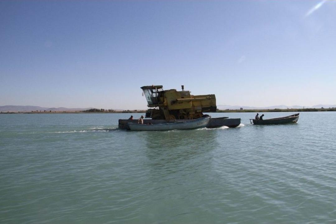 Adadaki Hasat Sonrası Bi&ccedil;erd&ouml;verin G&ouml;ldeki Yolculuğu