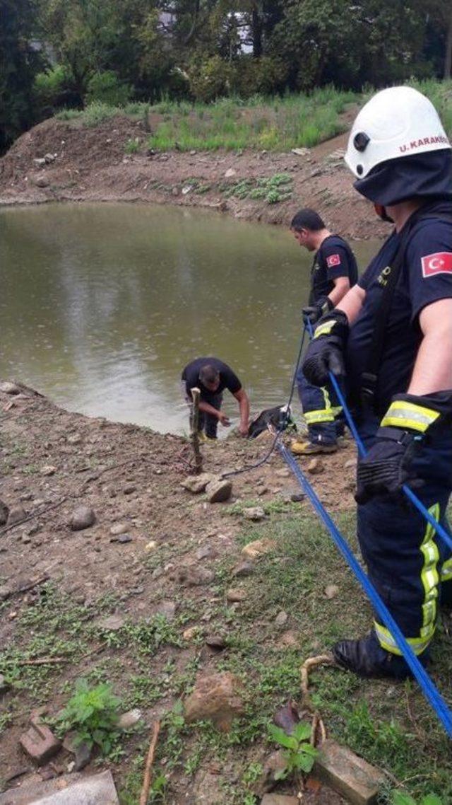 Gölette İnek Kurtarma Operasyonu