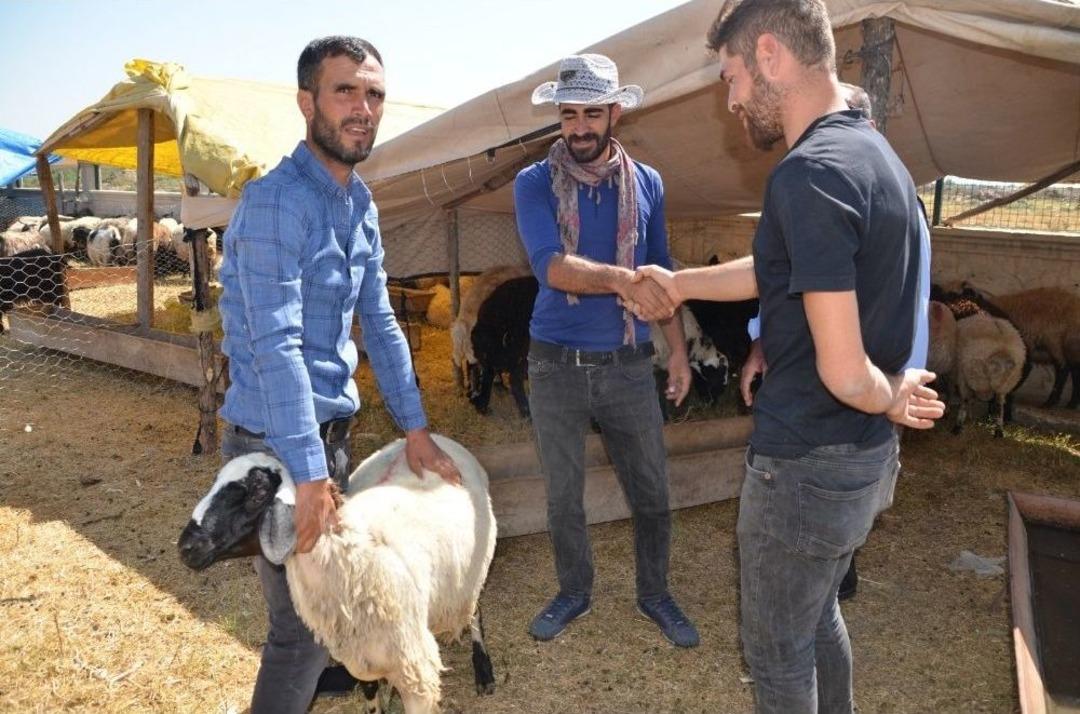 Hayvan Pazarında Yoğunluk Yaşanıyor