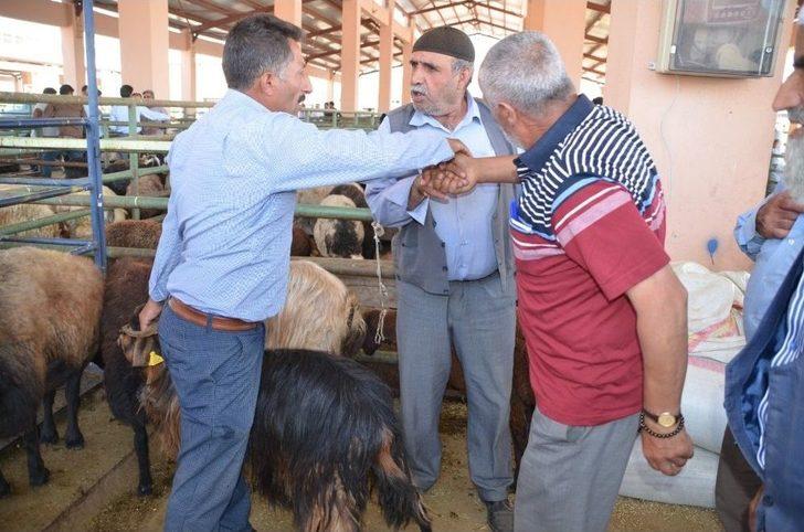Hayvan Pazarında Yoğunluk Yaşanıyor G1